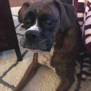 Meet your Posher, Dustin